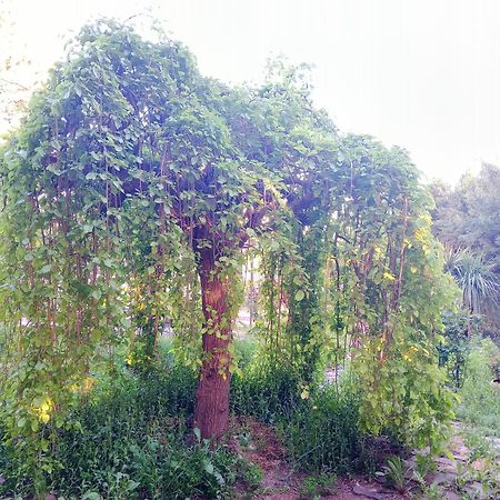 Casa Con Jardin Y Aparcamiento En Viznar, Junto A Granada Villa Ngoại thất bức ảnh
