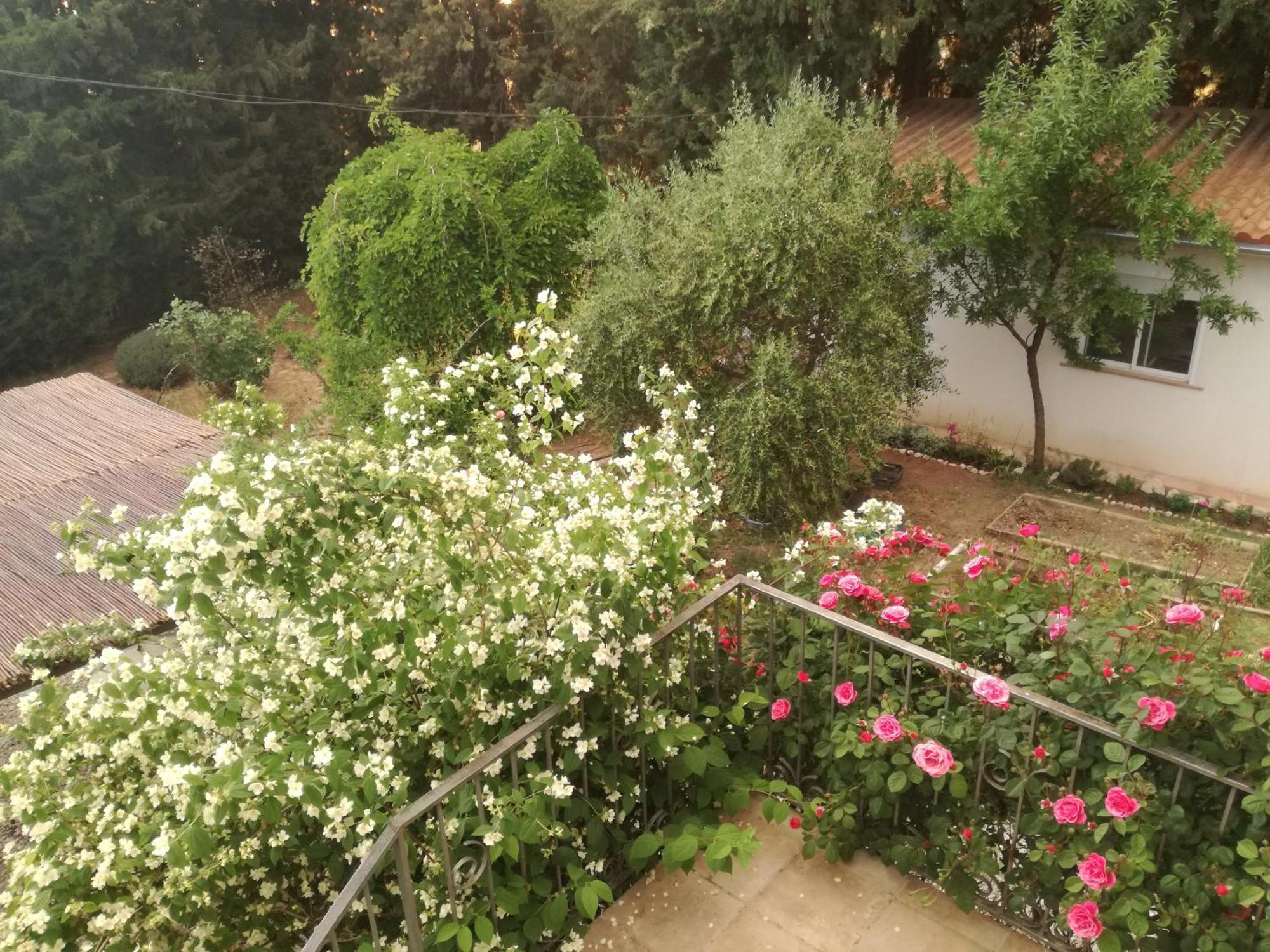 Casa Con Jardin Y Aparcamiento En Viznar, Junto A Granada Villa Ngoại thất bức ảnh