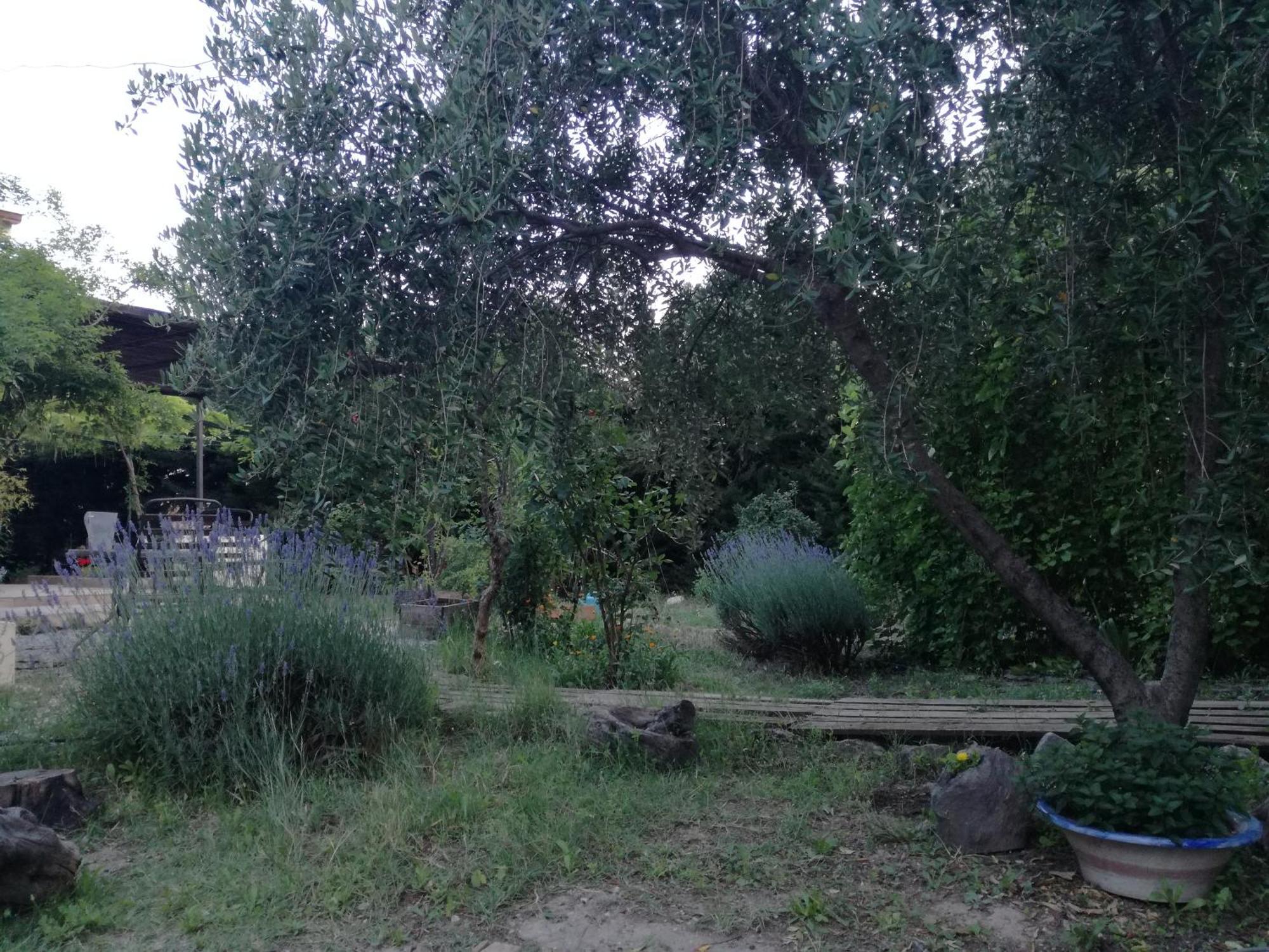 Casa Con Jardin Y Aparcamiento En Viznar, Junto A Granada Villa Ngoại thất bức ảnh